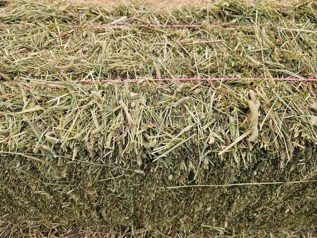 Photo of Small square hay bales