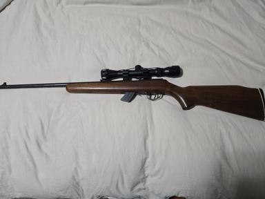 Photo of CIL Model 171 - 22LR - 1