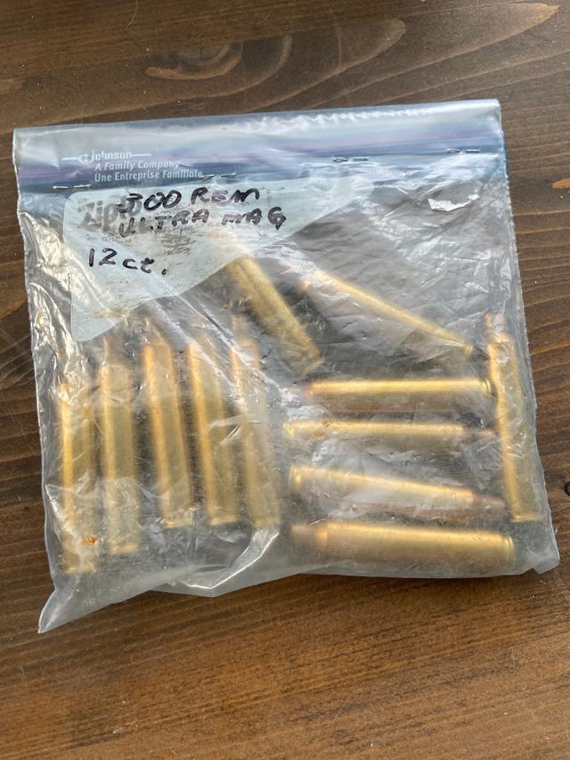 Photo of 300 Rem Ultra Mag Brass