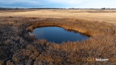 Photo of 318 Acres Farm Land For Sale - Vegreville, AB - 2