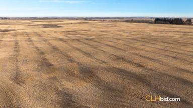 Photo of 318 Acres Farm Land For Sale - Vegreville, AB - 1