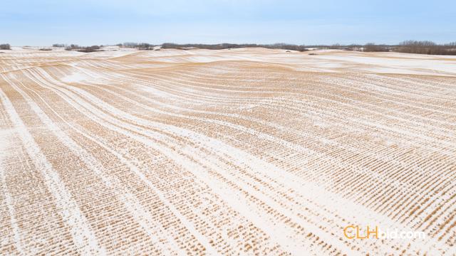 Photo of 163 Acres Farm Land For Sale - Innisfree, AB