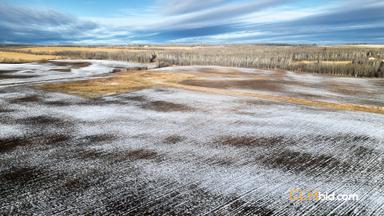 Photo of 474 Acres Farm Land For Sale - Cecil Lake, BC - 2