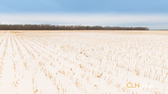 Photo of 160 Acres Farm Land For Sale - Lamont, AB