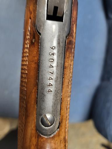 Photo of 1895 M 450 marlin Guide Gun - 1