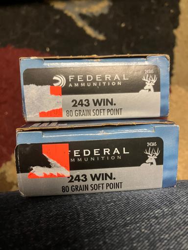 Photo of Federal .243 Win 80gr. - 2