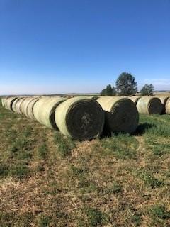 Photo of Hay Bales for Sale - 1