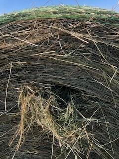 Photo of Hay Bales for Sale - 2