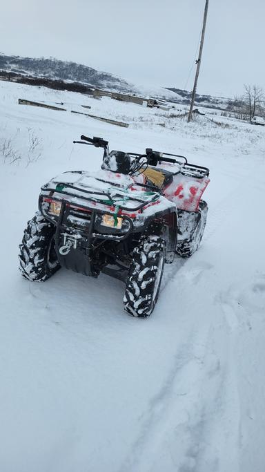 Photo of 4X4 HONDA ATV TRADE FOR A GUN/GUNS - 2