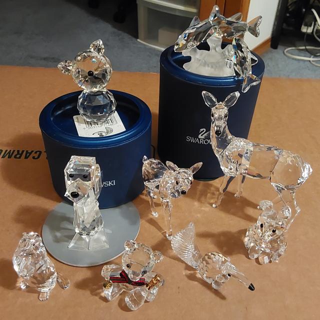 Photo of Swarovski, deer, fawn, mother bunny, School of fish, anteater, marmot ..