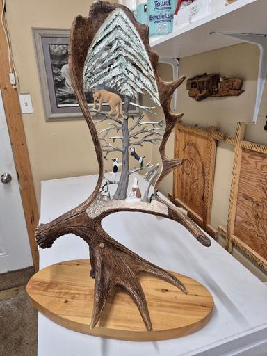 Photo of Moose shed carvings - 1