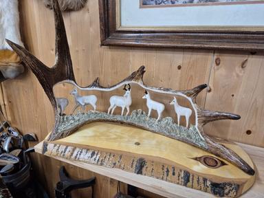 Photo of Moose shed carvings - 2