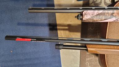 Photo of Remington 870 in 20 Gauge & Winchester SXP in 20 Gauge - 2