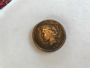 Photo of AMERICAN VINTAGE DOLLAR - 1