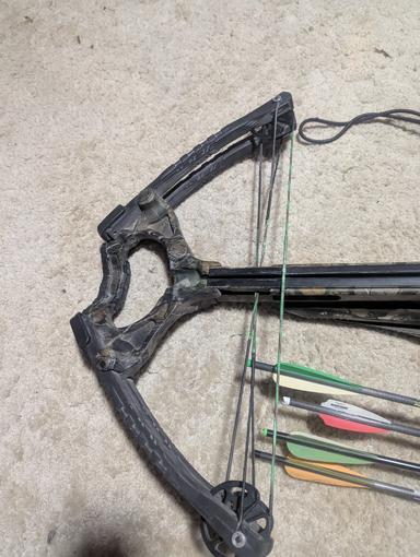 Photo of Barnett predator crossbow - 1