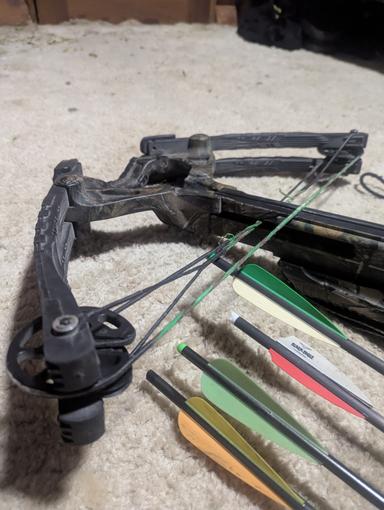 Photo of Barnett predator crossbow - 2