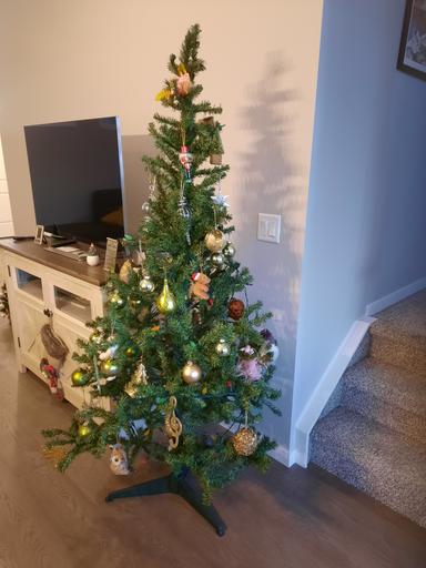 Photo of Christmas tree with 6 foot height on sale - 1