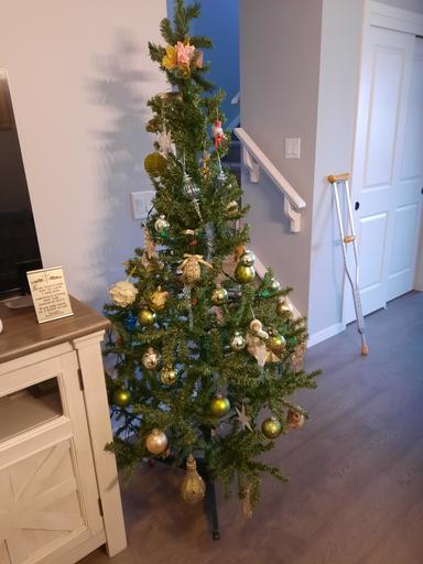 Photo of Christmas tree with 6 foot height on sale - 2