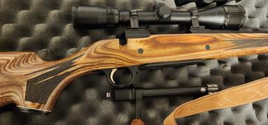 Photo of Browning A bolt 300 win-mag  - 1