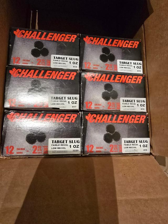 Photo of Challenger Low Recoil Target Slugs