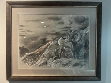 Photo of Stone Sheep Charcoal Artwork  - 1