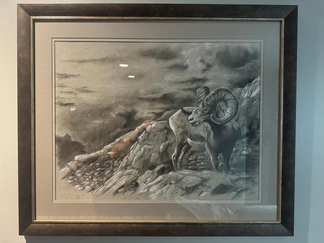 Photo of Stone Sheep Charcoal Artwork 