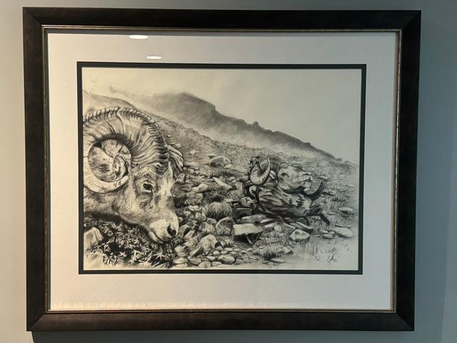 Photo of Stone Sheep Double Header, Charcoal Artwork