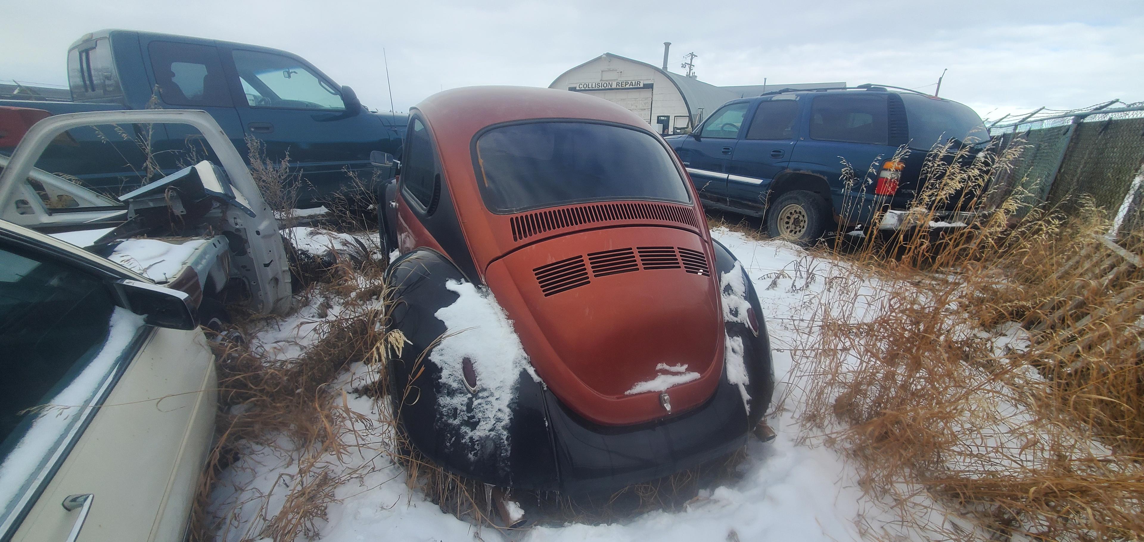 Photo of 1976 VW Beetle