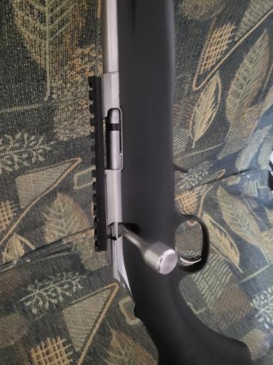 Photo of Ruger 22 lr - 2