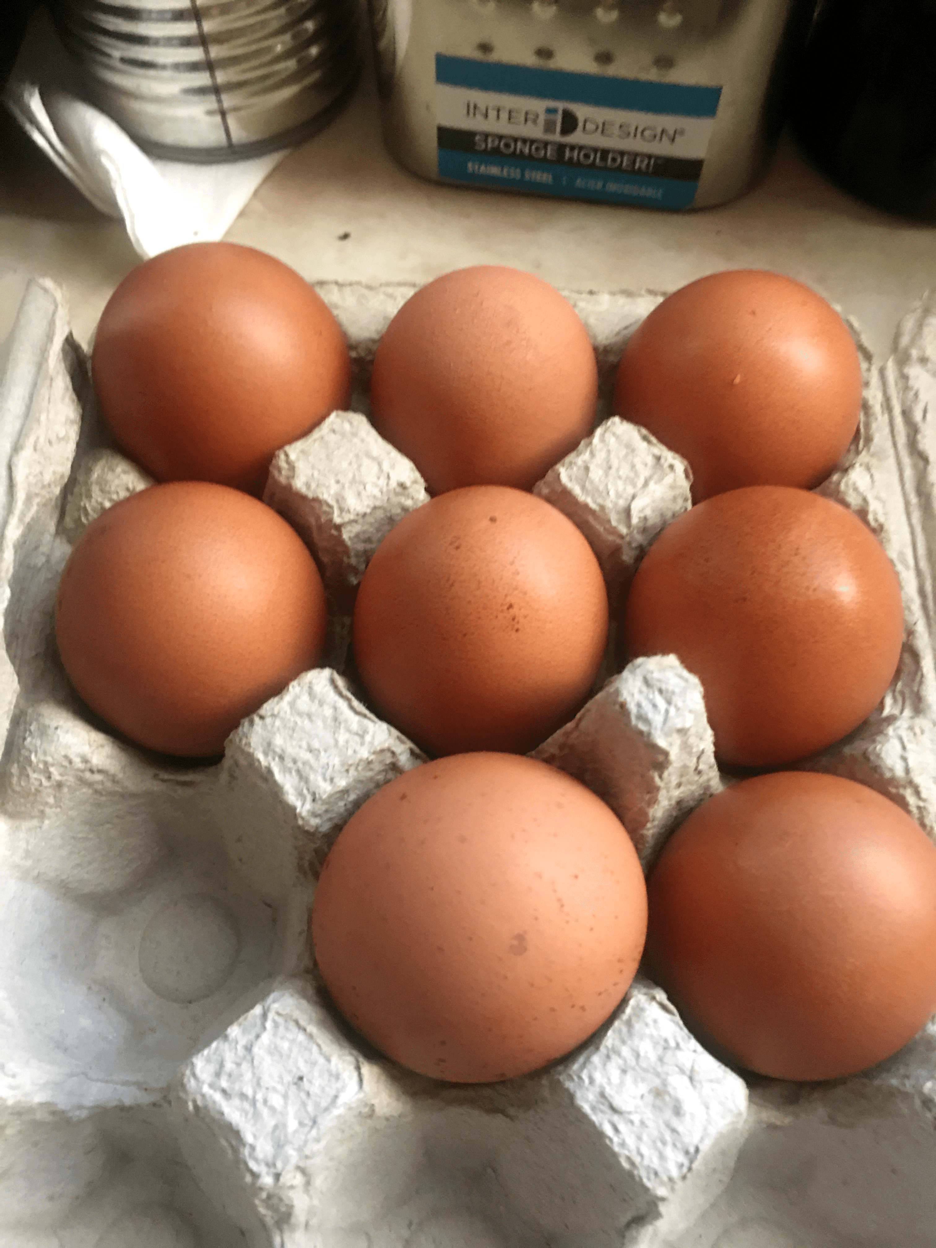 Photo of farm fresh eggs 