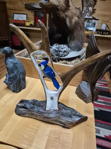 Photo of Moose antler carvings - 2