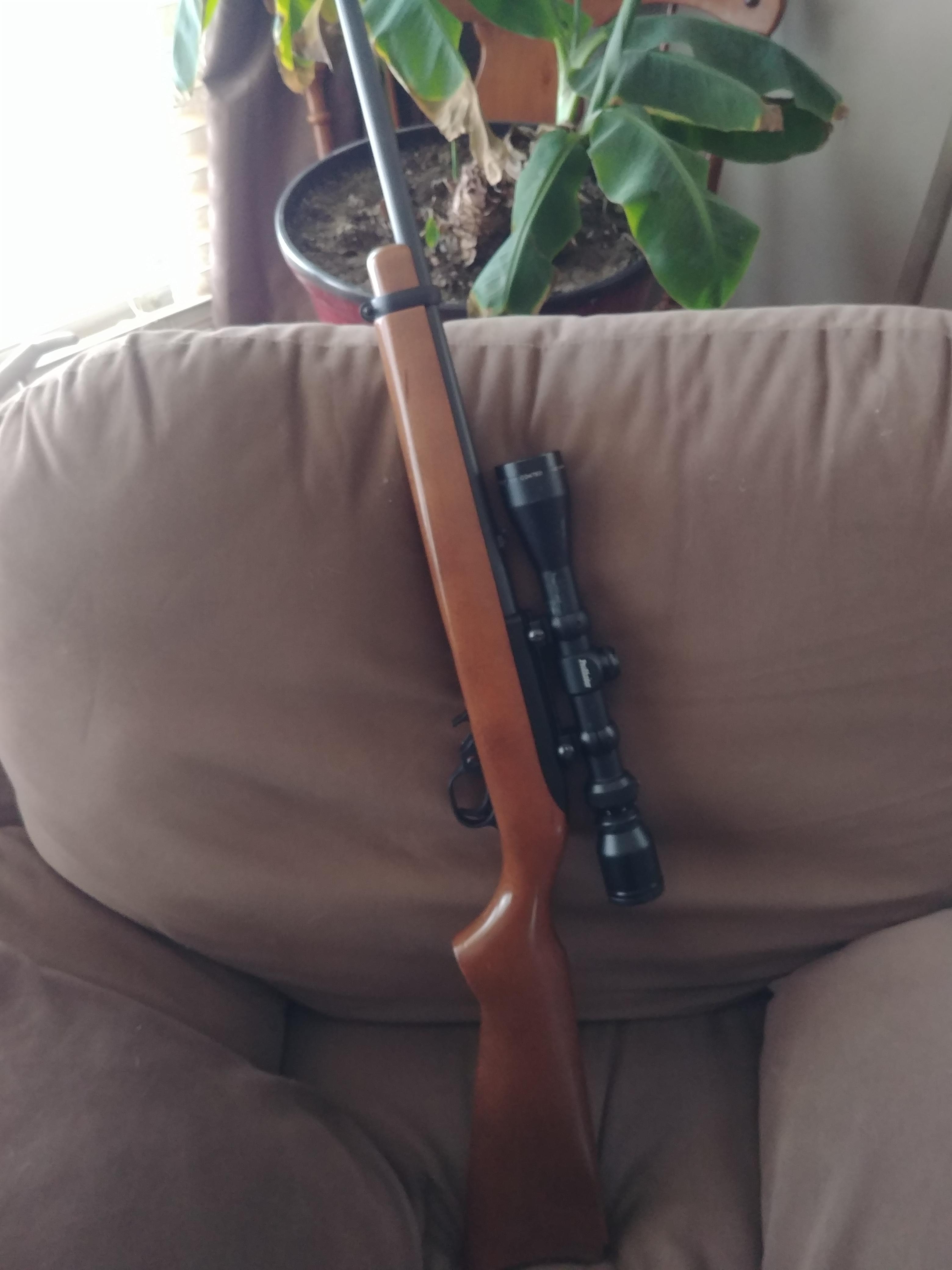 Photo of ruger 10/22