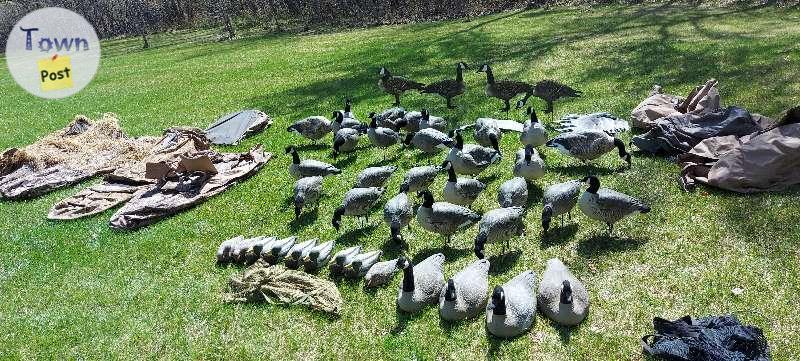 Photo of Goose hunting setup