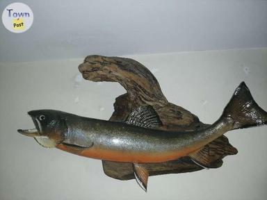 Photo of 4 trout mounts - 2