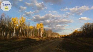 Photo of Weberville acreages  - 2