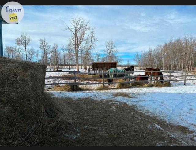 Photo of Horse Board, Lessons, horses/ponies for lease etc...(calmar)