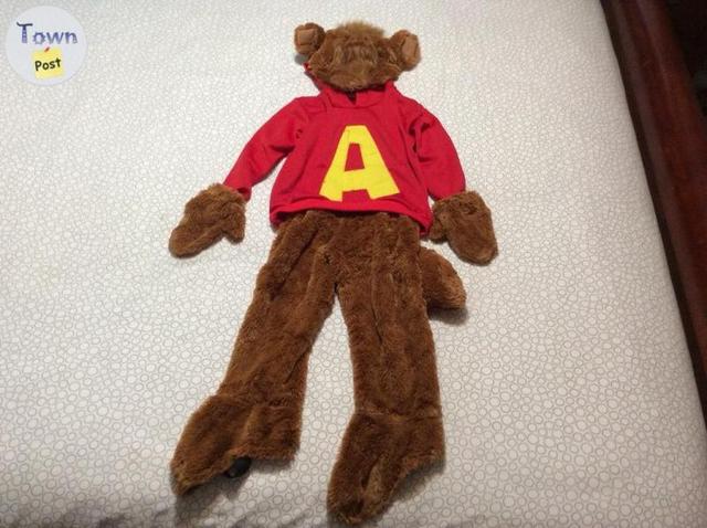 Photo of Alvin Costume