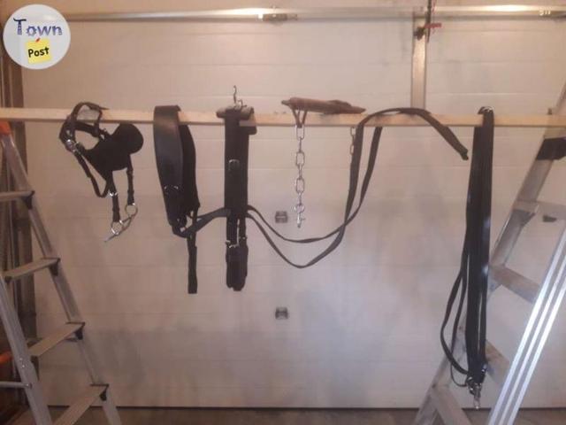 Photo of Harness 