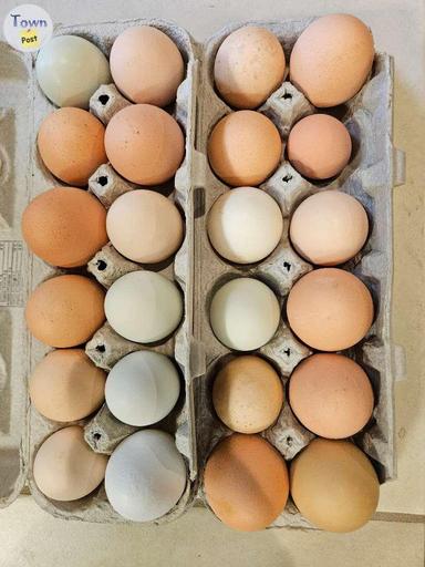 Photo of Fresh farm eggs for sale  - 1