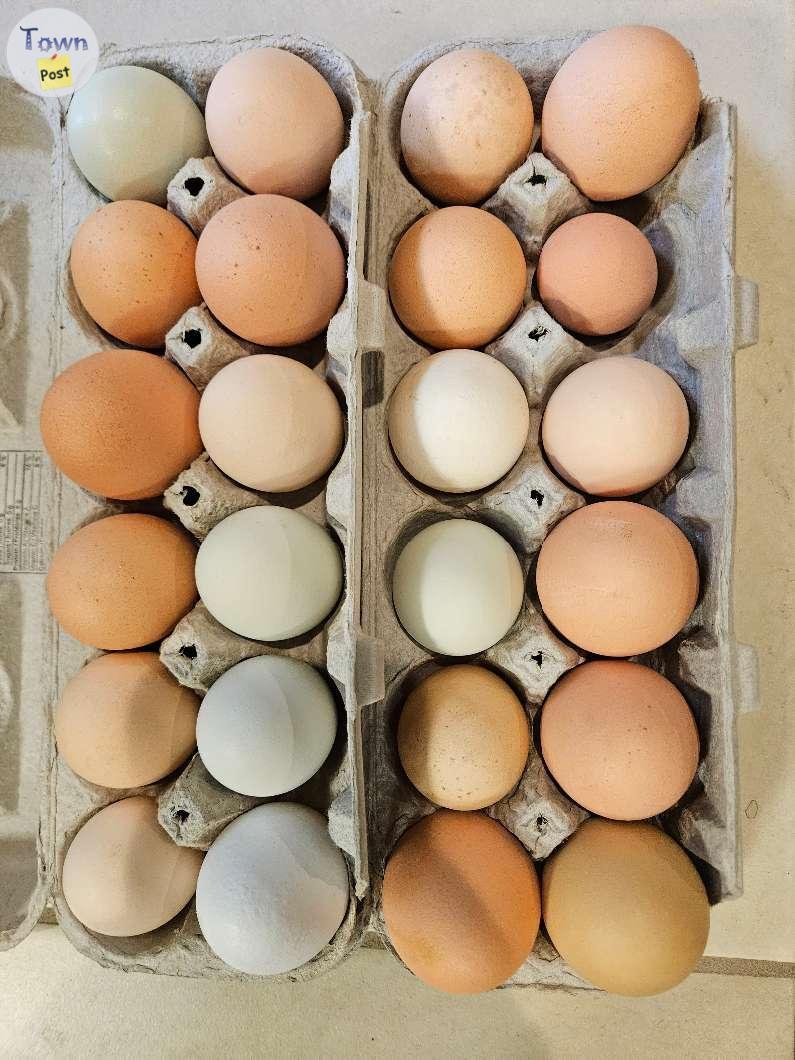 Photo of Fresh farm eggs for sale 