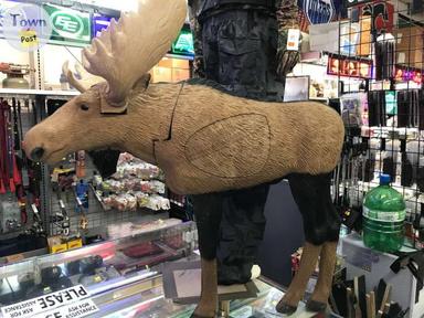 Photo of 1/3 SCALE WOODLAND MOOSE - ARCHERY TARGET - 1