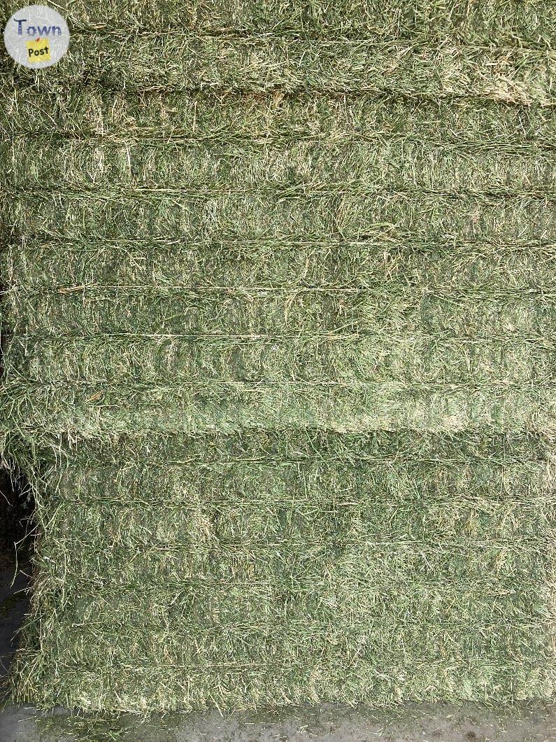 Photo of Hay for sale