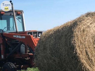 Photo of 1486 Case IH with 2455 Case IH front end loader. - 1