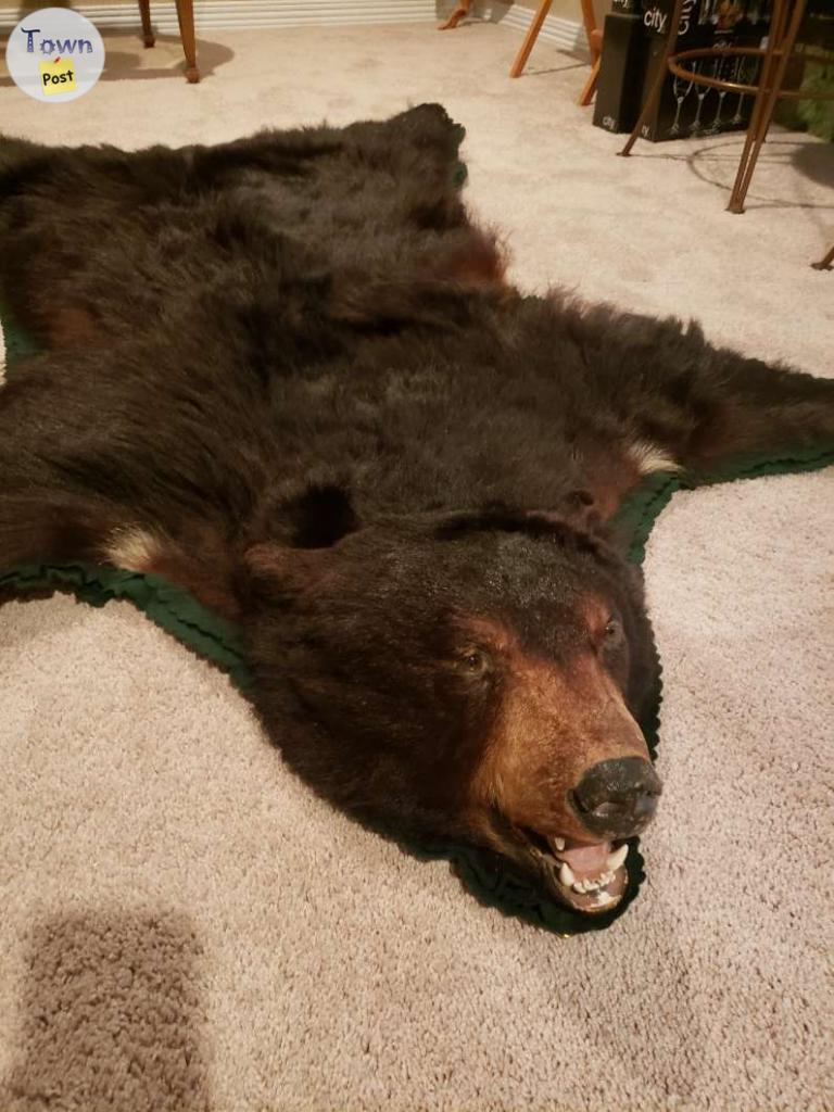 Photo of 6.5 ft Black Bear Skin Rug