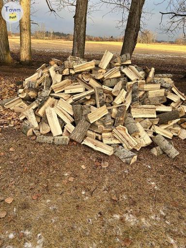 Photo of Poplar firewood  - 2