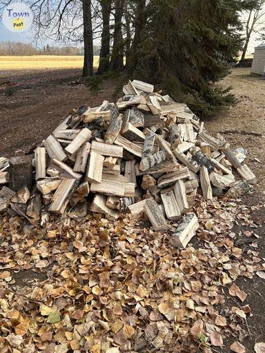 Photo of Poplar firewood  - 1