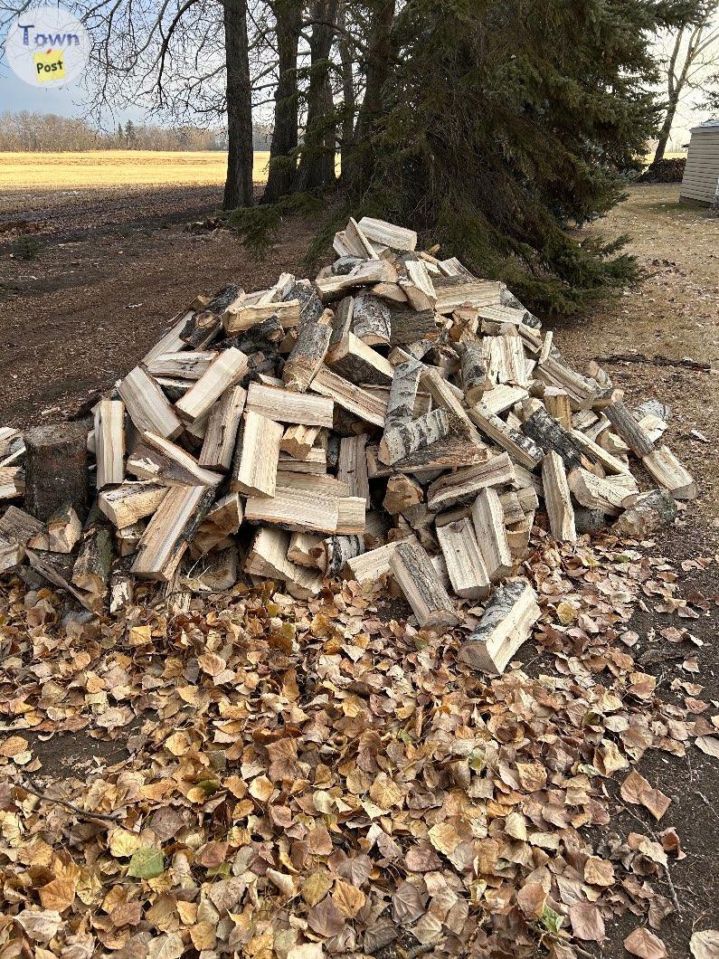 Photo of Poplar firewood 