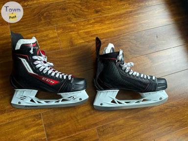 Photo of SKATES - 1