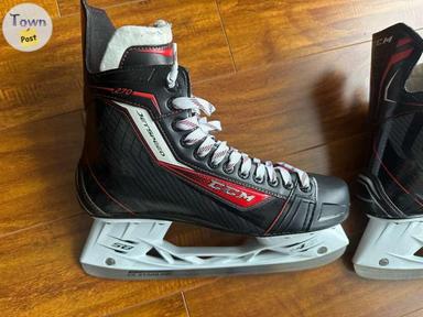 Photo of SKATES - 2