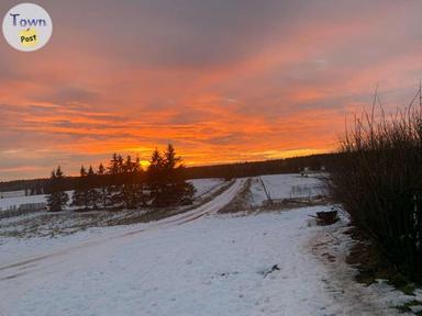 Photo of Alberta Farm 160+/-acres Prime land nestled in Alberta's best recreational area - 2